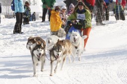 Lenk 2012 SM